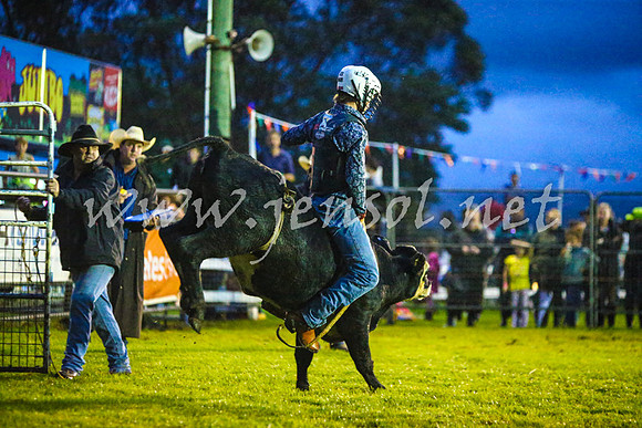 MiltonRodeo2017-0095