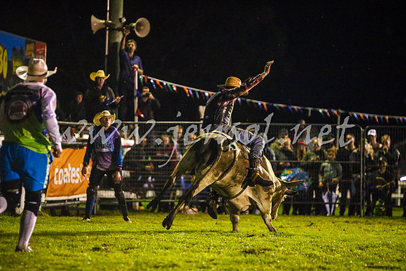 MiltonRodeo2017-0205