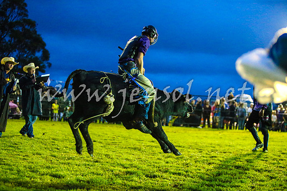 MiltonRodeo2017-0107