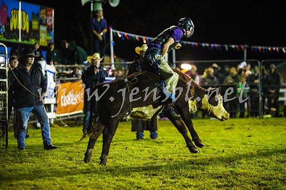 MiltonRodeo2017-0378
