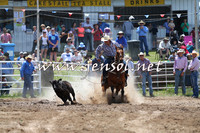 BungendoreRodeo2014_1358
