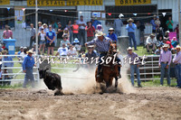 BungendoreRodeo2014_1357