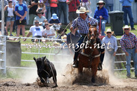 BungendoreRodeo2014_1360