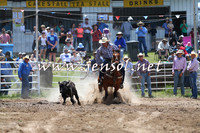 BungendoreRodeo2014_1356