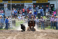 BungendoreRodeo2014_1362