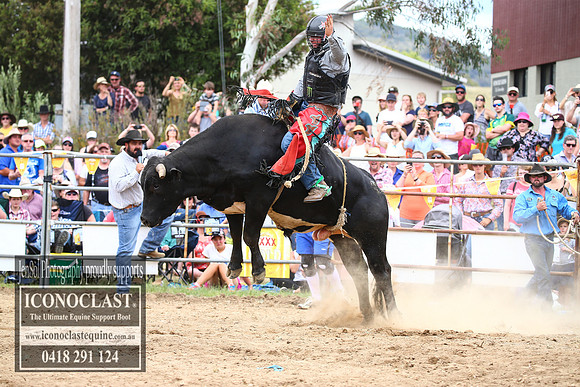 JindabyneRodeo2017_1441