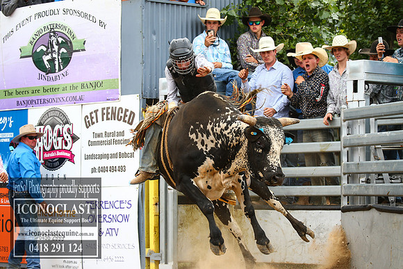 JindabyneRodeo2017_1590