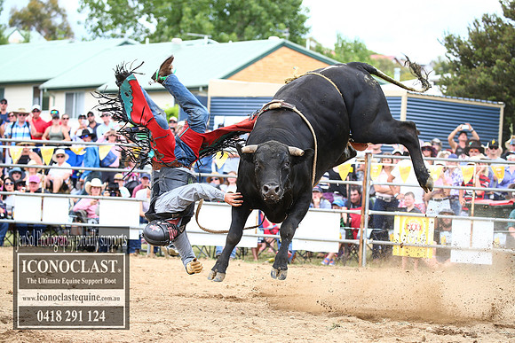 JindabyneRodeo2017_1454