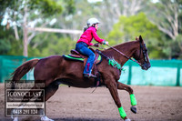 CooranbongFeb2018_5351