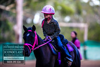 CooranbongFeb2018_5174