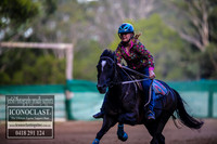CooranbongFeb2018_5330