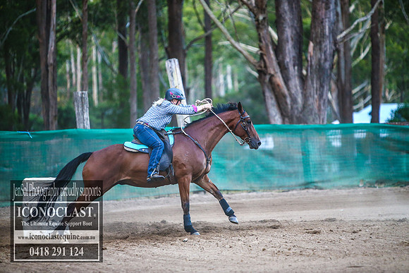 CooranbongFeb2018_0349