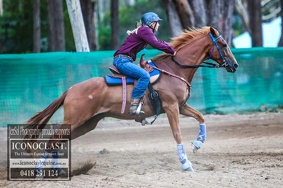 CooranbongFeb2018_0789