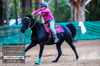 CooranbongFeb2018_0474