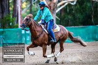 CooranbongFeb2018_0094