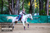 CooranbongFeb2018_0016
