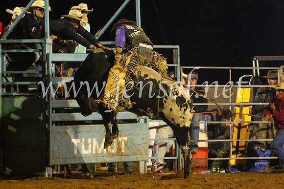 TumutRodeo2017_4883