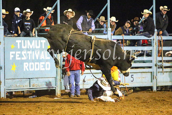TumutRodeo2017_4959