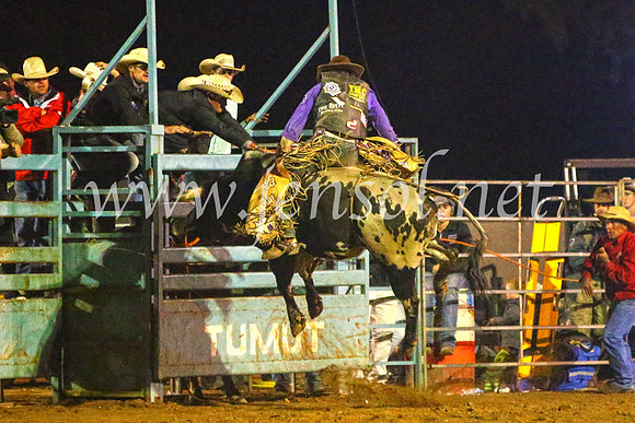 TumutRodeo2017_4884