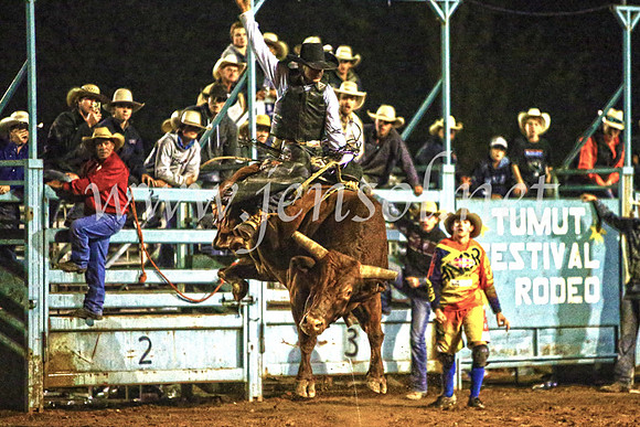 TumutRodeo2017_4984