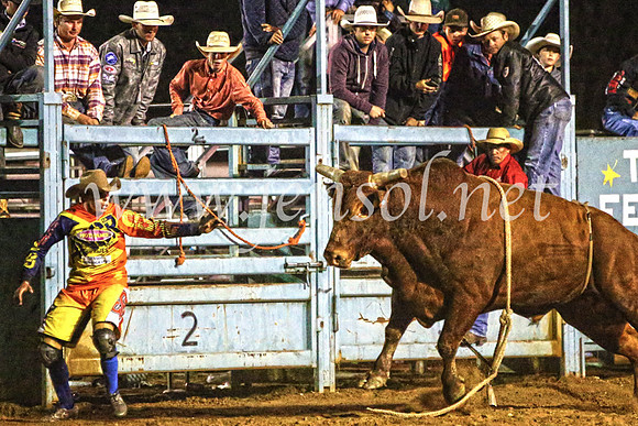 TumutRodeo2017_4525