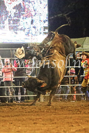 TumutRodeo2017_4337