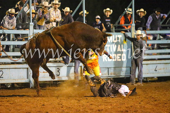 TumutRodeo2017_4977