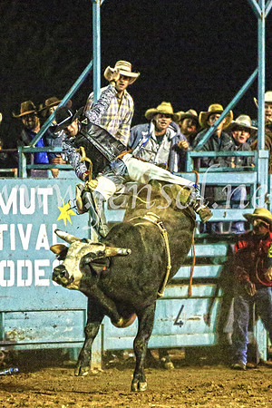 TumutRodeo2017_4367
