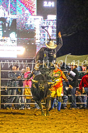 TumutRodeo2017_4925