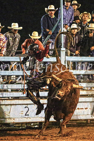 TumutRodeo2017_4514