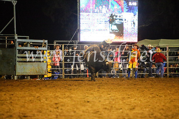 TumutRodeo2017_4910