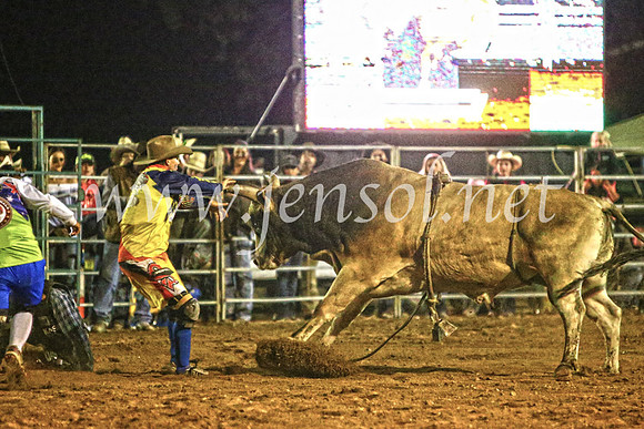 TumutRodeo2017_4487