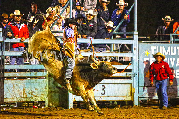 TumutRodeo2017_4859