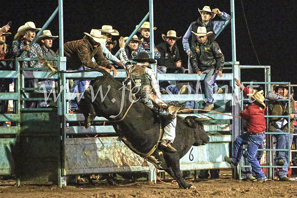 TumutRodeo2017_4534