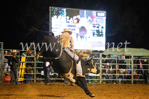 TumutRodeo2017_4835