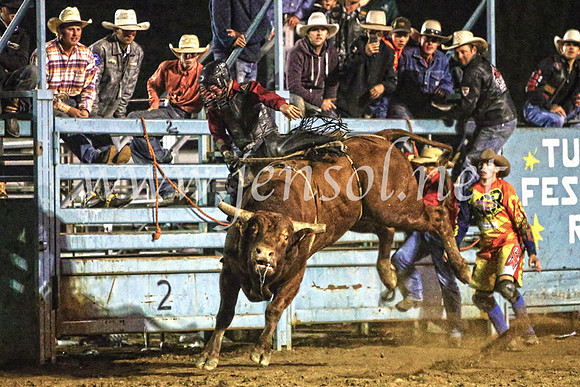 TumutRodeo2017_4512