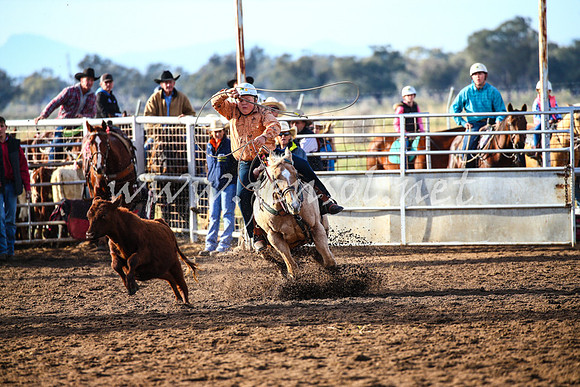 CoonambleRodeoCampdraftSat_0124