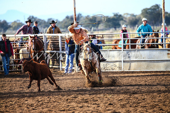 CoonambleRodeoCampdraftSat_0127