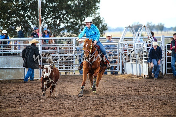 CoonambleRodeoCampdraftSat_0090