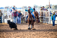 CoonambleRodeoCampdraftSat_0131