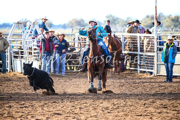 CoonambleRodeoCampdraftSat_0131
