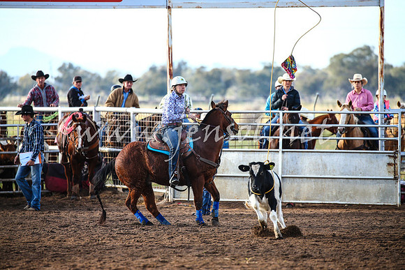 CoonambleRodeoCampdraftSat_0111