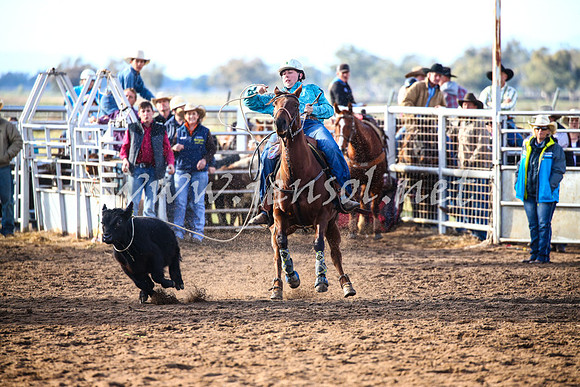 CoonambleRodeoCampdraftSat_0129