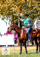 BOB2019_1168