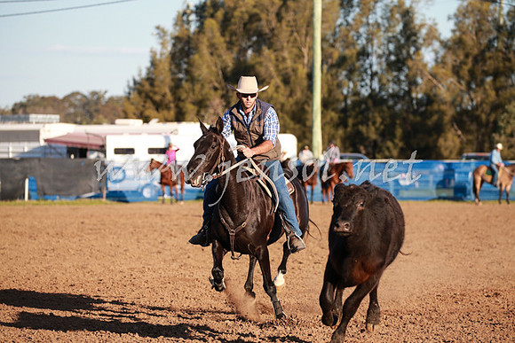 CCCampdraft2016_0797