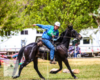 BOB2019_1516