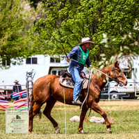 BOB2019_1043