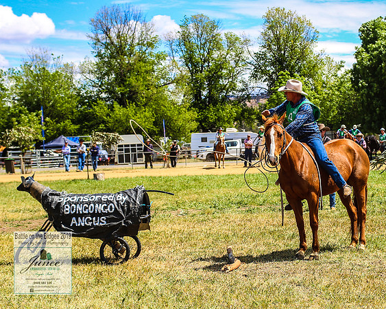 BOB2019_7228