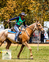 BOB2019_1299