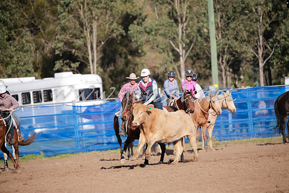 CCCampdraft2016_0548